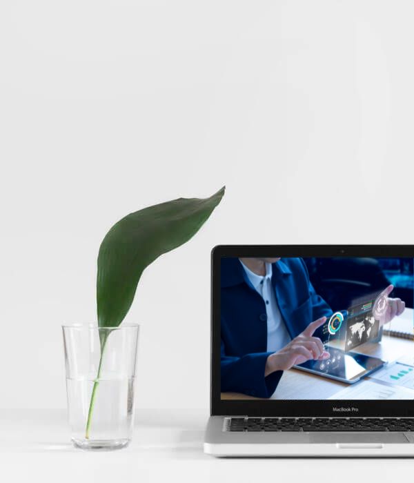 Investment Banking And Advisory