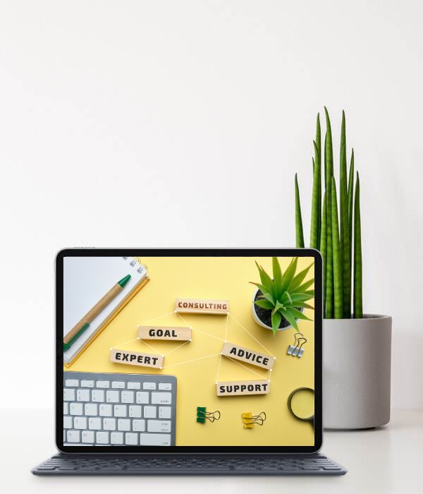 Consulting & Corporates